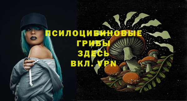 амф Сафоново