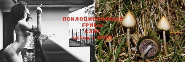 мдма Корсаков